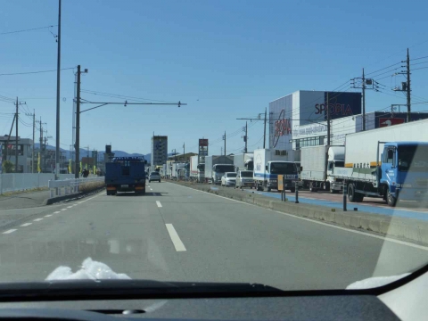 P1010646.jpg