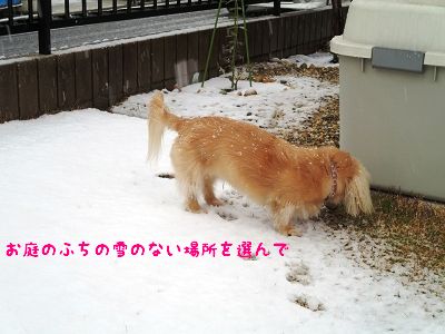 resize1056.jpg