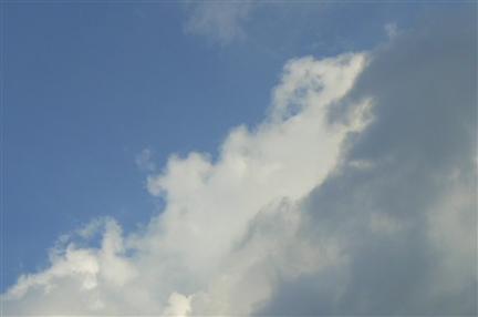 画像 227.jpg