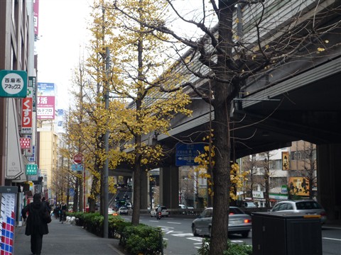 画像 1745.jpg