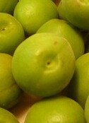 ume.jpg