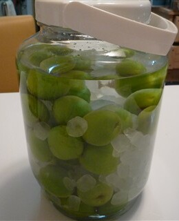 画像 176.jpg