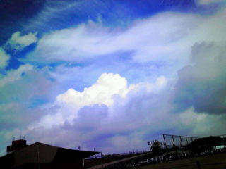 20090809095302.jpg