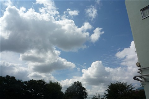 画像 463.jpg
