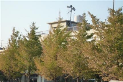 画像 614.jpg