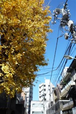 画像 724.jpg