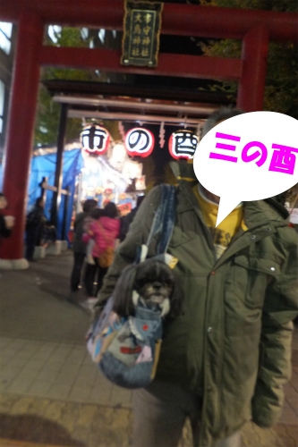 r-DSC131127004-1.jpg