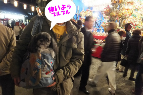 r-DSC131127016-1.jpg