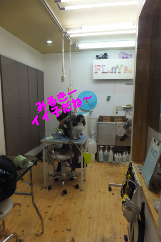 r-DSC131130015-1.jpg