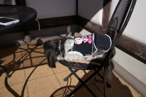 r-DSC131201017.jpg