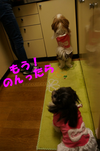 r-DSC131214026-1.jpg