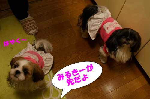 r-DSC131214027-1.jpg