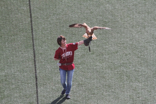 20140921-24.jpg