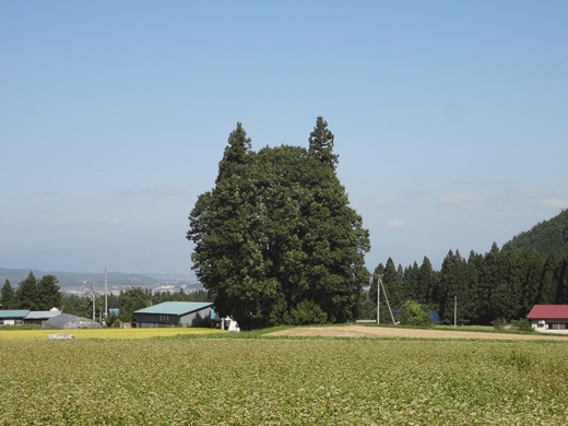 20140927-01.jpg