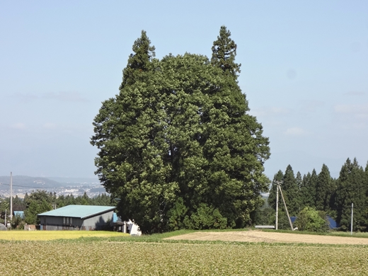 20140927-02.jpg