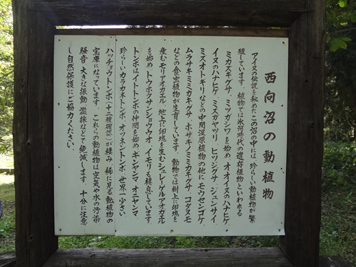 20140927-03.jpg