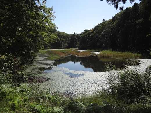 20140927-04.jpg