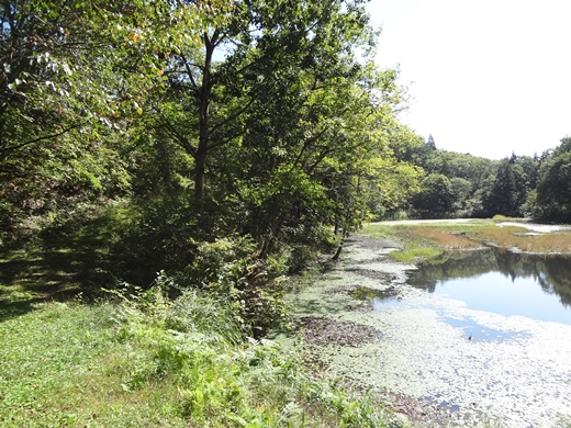 20140927-05.jpg
