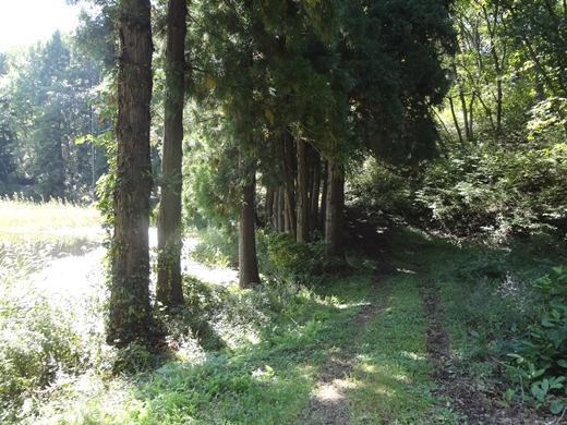 20140927-06.jpg