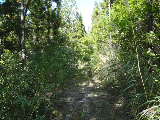 20140927-08.jpg