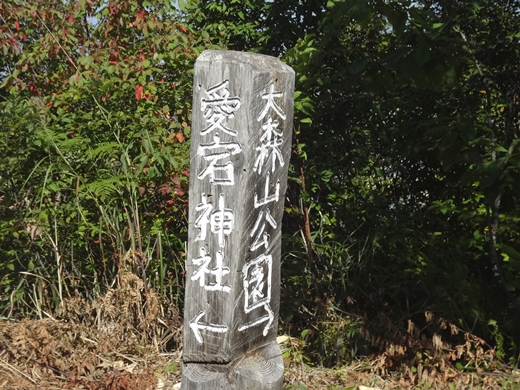 20140927-16.jpg