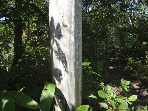 20140927-17.jpg