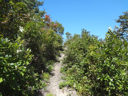 20140927-18.jpg