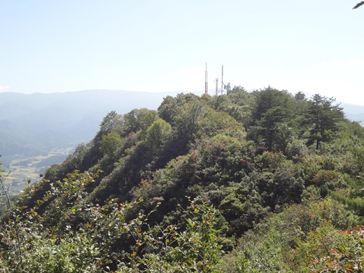 20140927-19.jpg