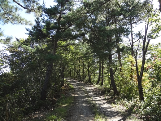 20140927-21.jpg