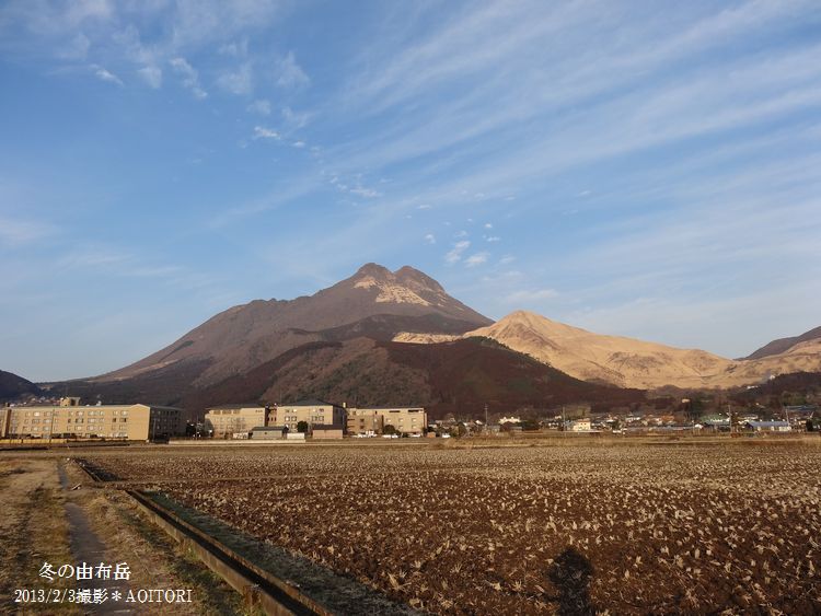 由布岳2013･2･3 001