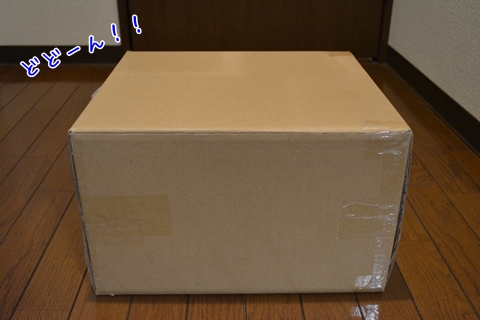 e1217 (2)