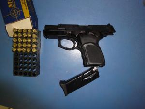BERSA1
