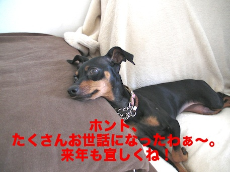 20111231-1.png