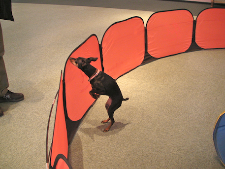 20120325-4.png