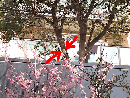 20120329-5.png