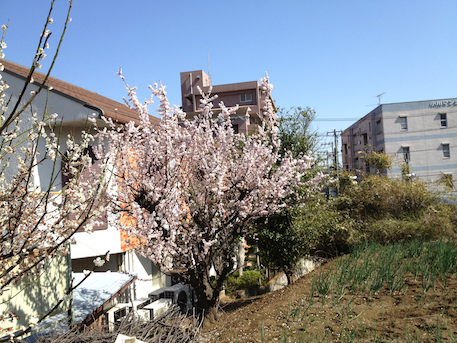 20120329-7.png