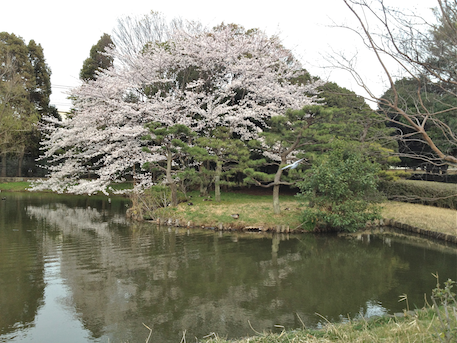 20120411-1.png