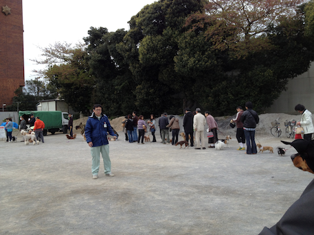 20120422-3.png