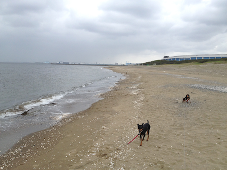 20120501-10.png