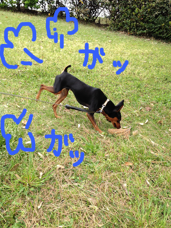 20120501-2.png