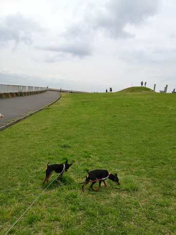 20120501-4.png