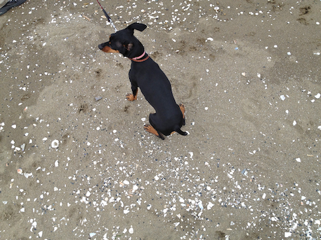 20120501-8.png