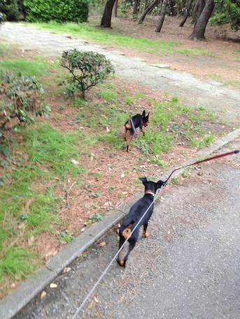 20120501.png