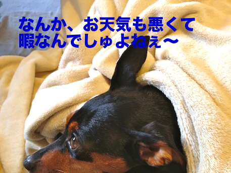 20120505-1.png