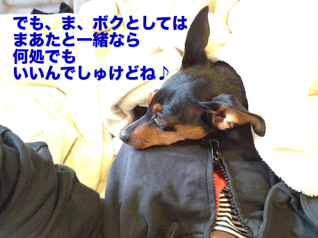20120505-2.png
