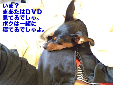 20120505-3.png