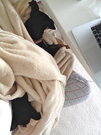 20120505-4.png