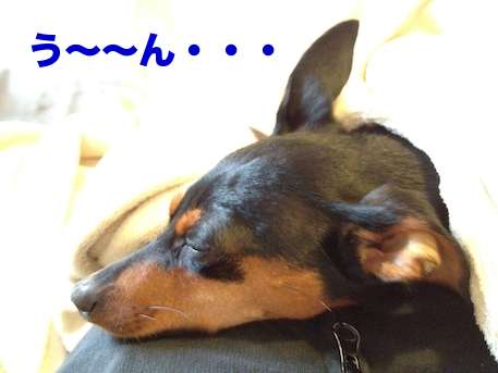 20120505.png