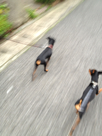 20120506-3.png