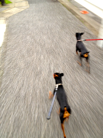 20120506-4.png